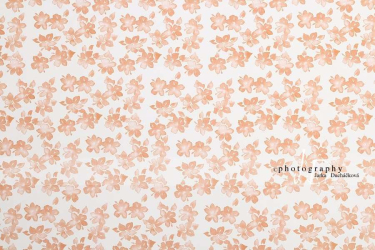 JD PHOTOGRAPHY  Fotopozadí - DESIGN 43