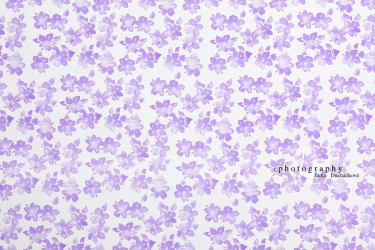 JD PHOTOGRAPHY  Fotopozadí - DESIGN 42