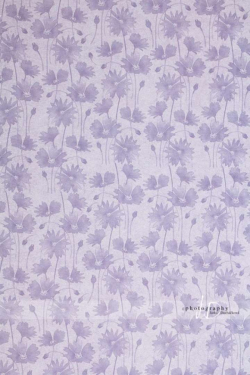 JD PHOTOGRAPHY  Fotopozadí - DESIGN 39