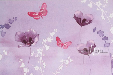 JD PHOTOGRAPHY  Fotopozadí - DESIGN 30