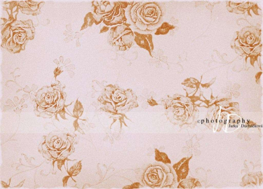 JD PHOTOGRAPHY  Fotopozadí - RůŽIČKY 6