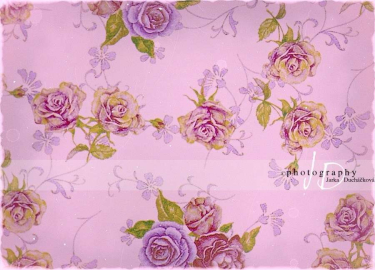 JD PHOTOGRAPHY  Fotopozadí - RůŽIČKY 3