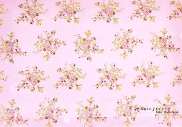 JD PHOTOGRAPHY  Fotopozadí - RůŽE 28