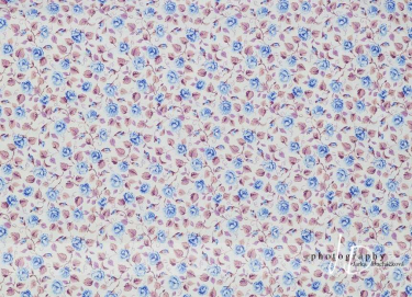 JD PHOTOGRAPHY  Fotopozadí - RůŽE 22