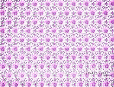 JD PHOTOGRAPHY  Fotopozadí - KVĚTINKY 16