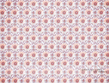 JD PHOTOGRAPHY  Fotopozadí - KVĚTINKY 15