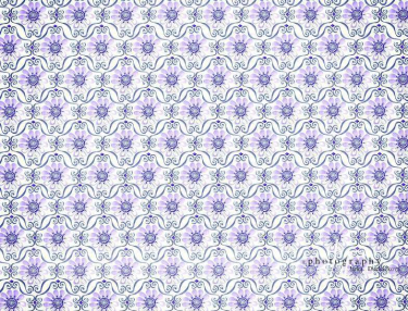 JD PHOTOGRAPHY  Fotopozadí - KVĚTINKY 13