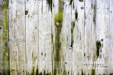 JD PHOTOGRAPHY  Fotopozadí - PODLAHA 014