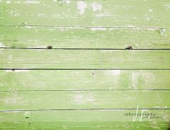 JD PHOTOGRAPHY  Fotopozadí - PODLAHA - prkna zelená