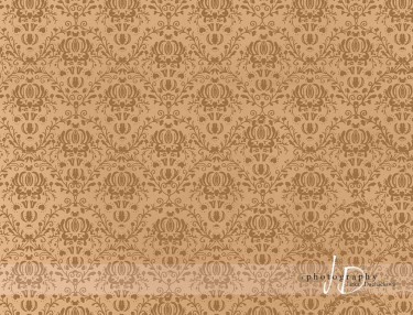 JD PHOTOGRAPHY  Fotopozadí - DAMAŠEK 18