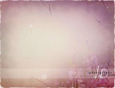 JD PHOTOGRAPHY  Fotopozadí - LEVANDULE - NOTA 3 retro