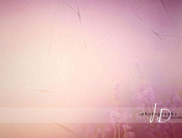 JD PHOTOGRAPHY  Fotopozadí - LEVANDULE - NOTA 1