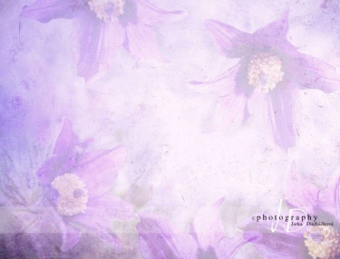 JD PHOTOGRAPHY  Fotopozadí - KONIKLEC 3