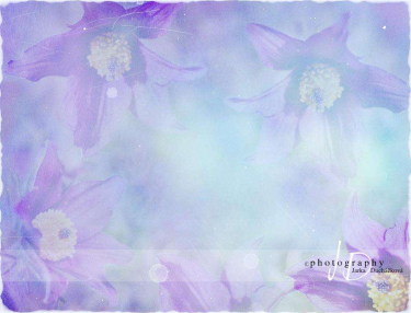 JD PHOTOGRAPHY  Fotopozadí - KONIKLEC 2