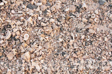 JD PHOTOGRAPHY  Fotopozadí - podlaha - pláž Egypt 2