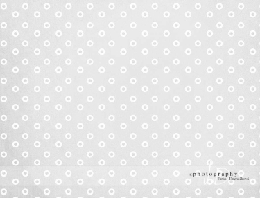 JD PHOTOGRAPHY  Fotopozadí kolečka 5