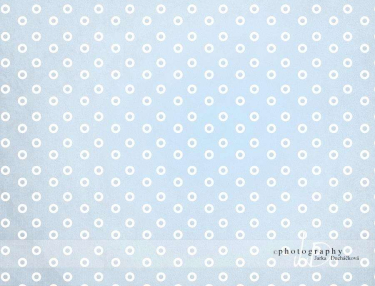 JD PHOTOGRAPHY  Fotopozadí kolečka 6