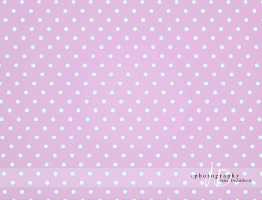 JD PHOTOGRAPHY  Fotopozadí puntíky 2