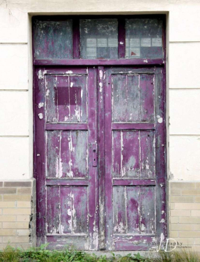 JD PHOTOGRAPHY  Fotopozadí - DVEŘE 10 - kompletní růžové