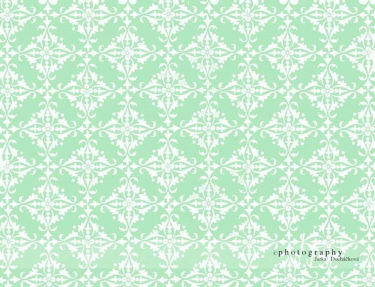 JD PHOTOGRAPHY  Fotopozadí 46 TAPETA