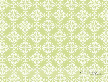 JD PHOTOGRAPHY  Fotopozadí 49 TAPETA