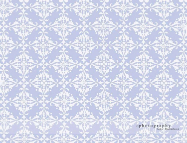 JD PHOTOGRAPHY  Fotopozadí 50 TAPETA