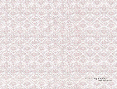 JD PHOTOGRAPHY  Fotopozadí - DAMAŠEK 36