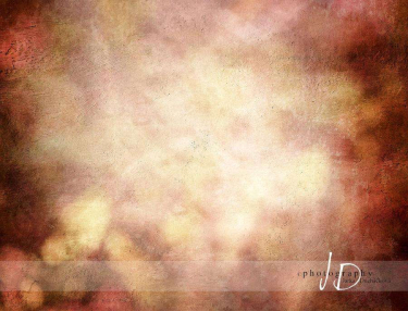 JD PHOTOGRAPHY  Fotopozadí - ŠMOUHA zářivá