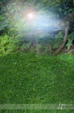 JD PHOTOGRAPHY  Fotopozadí - stěna+podlaha - UTOPIA