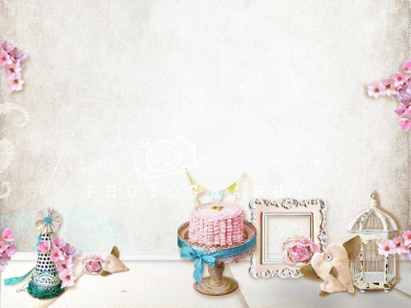 JD PHOTOGRAPHY  Fotopozadí - DESIGN 560