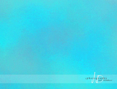 JD PHOTOGRAPHY  Fotopozadí - PLÁTNO 1 modré