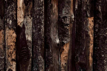 JD PHOTOGRAPHY  Fotopozadí - PODLAHA 107