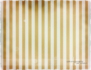 JD PHOTOGRAPHY  Fotopozadí - PRUHY 6 retro