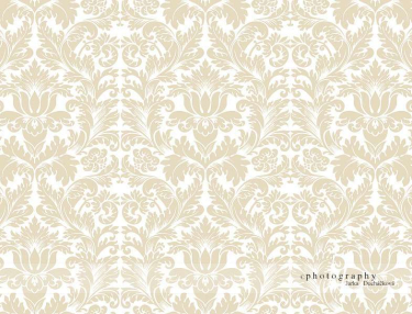 JD PHOTOGRAPHY  Fotopozadí - DAMAŠEK 59