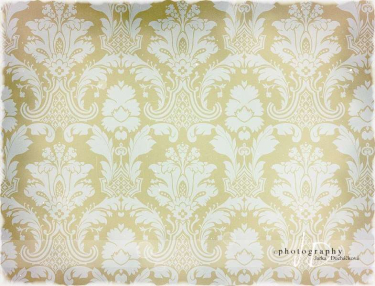 JD PHOTOGRAPHY  Fotopozadí - DAMAŠEK 70 retro