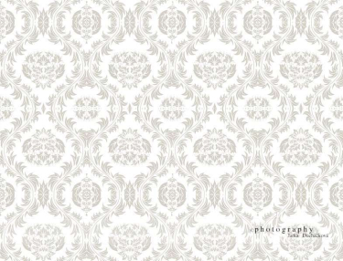 JD PHOTOGRAPHY  Fotopozadí - DAMAŠEK 90