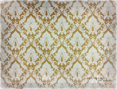 JD PHOTOGRAPHY  Fotopozadí - DAMAŠEK 100 retro