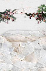 JD PHOTOGRAPHY  Fotopozadí - Vánoční praskliny + noty