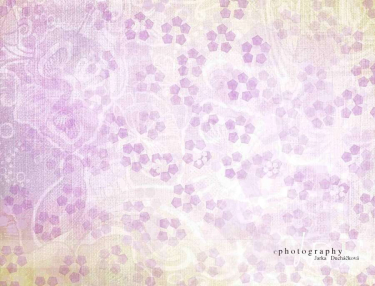 JD PHOTOGRAPHY  Fotopozadí - VČELÍ SEN