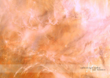 JD PHOTOGRAPHY  Fotopozadí - MLHOVINA 4