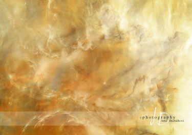 JD PHOTOGRAPHY  Fotopozadí - MLHOVINA 5