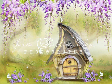 JD PHOTOGRAPHY  Fotopozadí - DESIGN 437