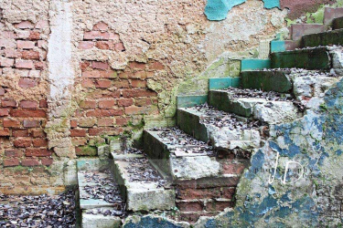 JD PHOTOGRAPHY  Fotopozadí - ZEĎ 31