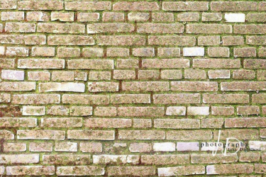 JD PHOTOGRAPHY  Fotopozadí - ZEĎ 36