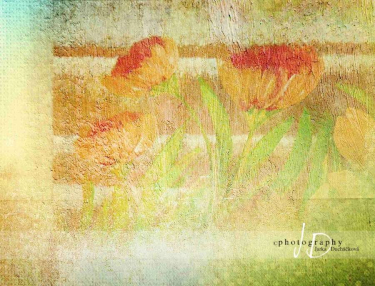 JD PHOTOGRAPHY  Fotopozadí - Velikonoční květy