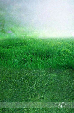 JD PHOTOGRAPHY  Fotopozadí - SPOJENÉ POZADÍ - TRAVIČKA zelená