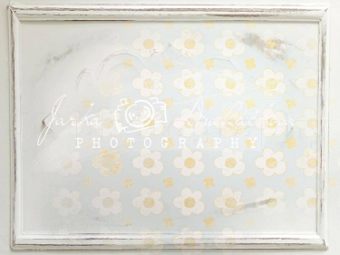 JD PHOTOGRAPHY  Fotopozadí - DESIGN 391