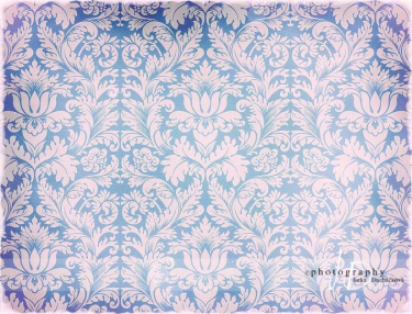 JD PHOTOGRAPHY  Fotopozadí - DAMAŠEK 120