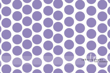 JD PHOTOGRAPHY  Fotopozadí - PUNTÍKY 16