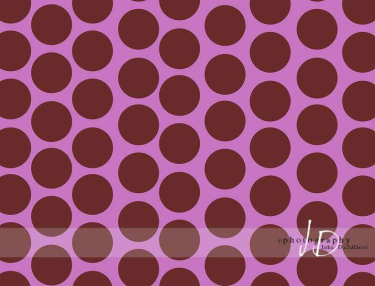 JD PHOTOGRAPHY  Fotopozadí - PUNTÍKY 30